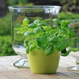Garden Accessories E-Commerce Export Business Opportunity