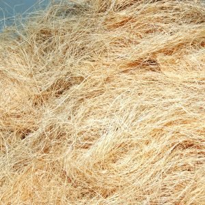 Coir and Agro Products E-Commerce Export Business Opportunity