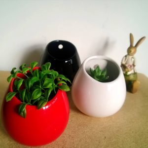 Ceramic & Clay Decoratives E-Commerce Export Business Opportunity