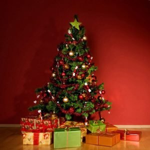 Christmas Gifts & Decoratives E-Commerce Export Business Opportunity