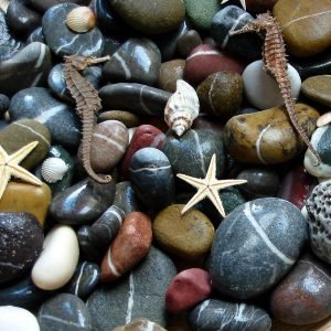 Cobbles, Pebbles & Pavings E-Commerce Export Business Opportunity