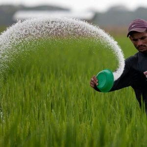 Fertilizers and Soil Additives E-Commerce Export Business Opportunity