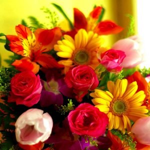 Fresh Flowers, Plants & Trees E-Commerce Export Business Opportunity