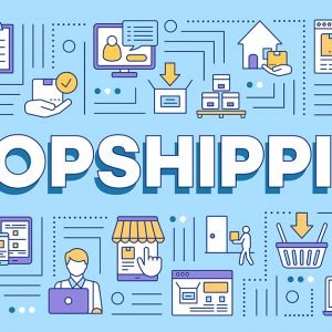 IIEC® Certified Dropshipping Professional